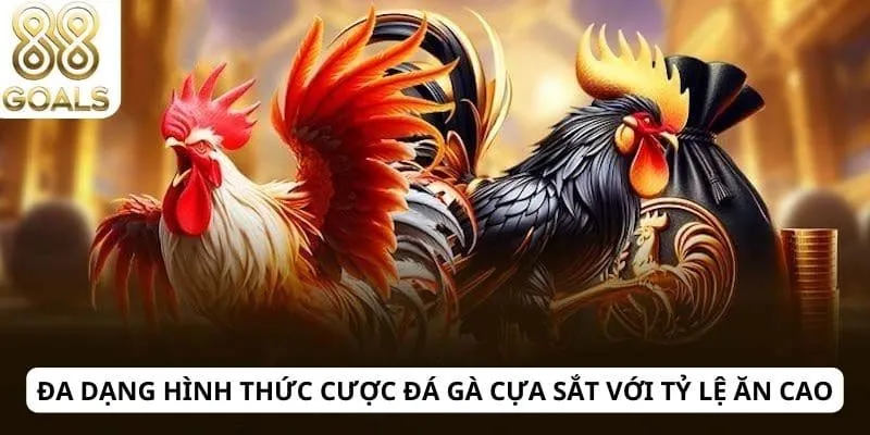 Đá gà cựa sắt 3 Đa dạng hình thức cược đá gà cựa sắt với tỷ lệ ăn cao