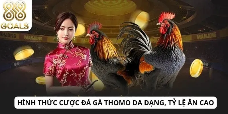 Đá gà Thomo 3 Hình thức cược đá gà Thomo da dạng, tỷ lệ ăn cao