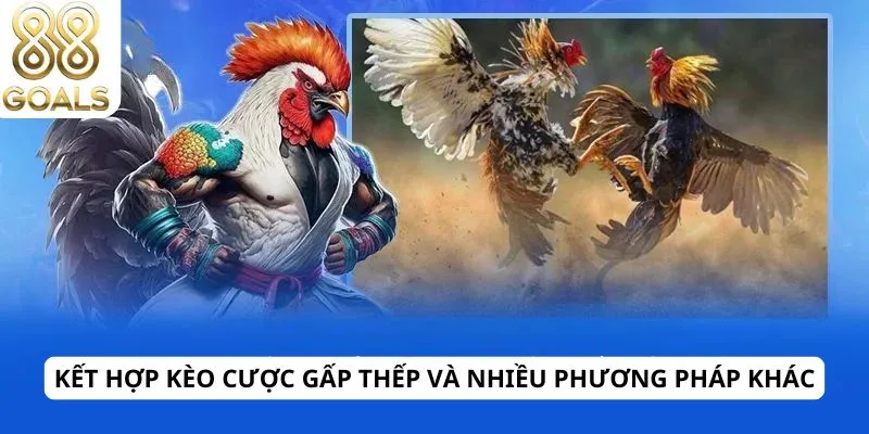 Kèo cược gấp thếp 4 Kết hợp kèo cược gấp thếp và nhiều phương pháp khác