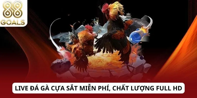 Đá gà cựa sắt 2 Live đá gà cựa sắt miễn phí, chất lượng full HD