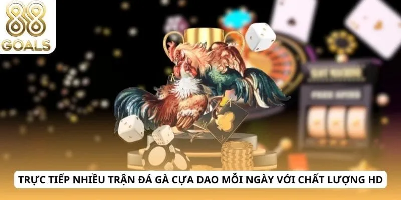 Đá gà cựa dao 2 Trực tiếp nhiều trận đá gà cựa dao mỗi ngày với chất lượng HD